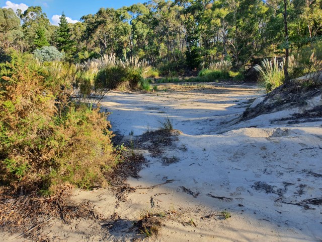 Castlemaine Diggings - Cyanide Pits