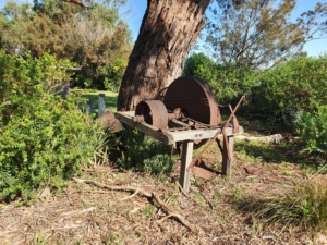 The grounds of Hickinbotham Winery - Dromana