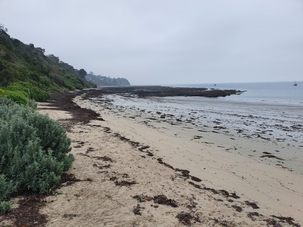 Flinders coastline