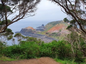 Cape Schank cliff walk