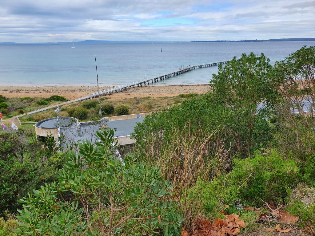 Pier at Queenscliff