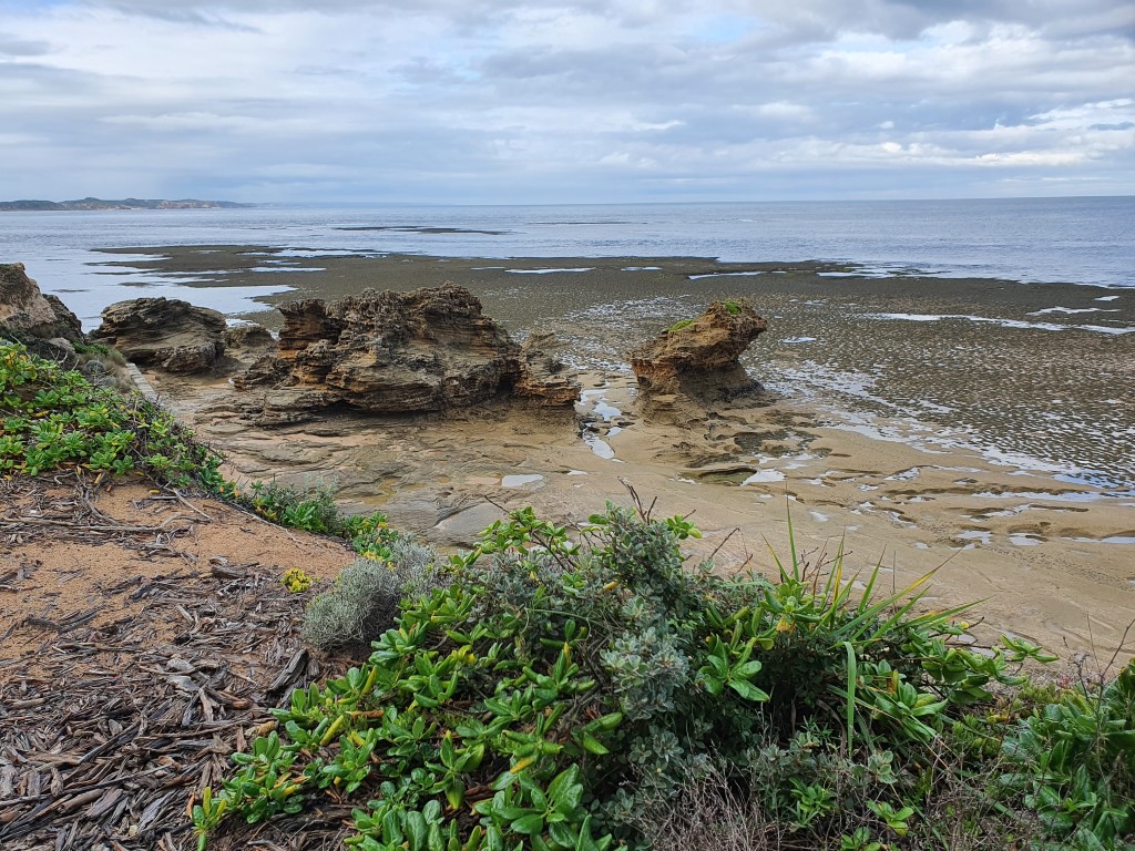 Rock ledge below Queenscliff Lighthouse