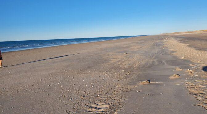 Eighty Mile Beach