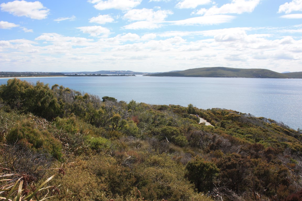Rotary Lookout