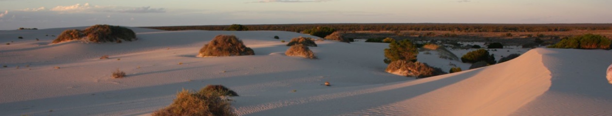 Lake Mungo Dunes